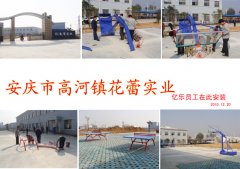 安庆市高河镇花蕾实业篮球架、乒乓球台安装现场