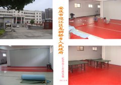 安庆市迎江区龙狮桥乡人民政府乒乓球场地、乒乓球台安装现场
