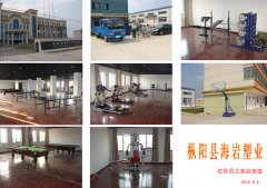 枞阳县海岩塑业室内健身器材、乒乓球台、篮球架、台球桌安装现场